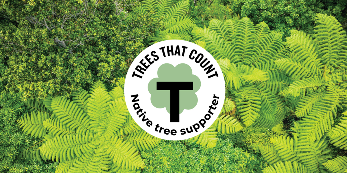 43 Trees Forty Thieves x Trees That Count: Growing Our Native Forests | Forty ...